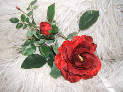 Die mistieke roos